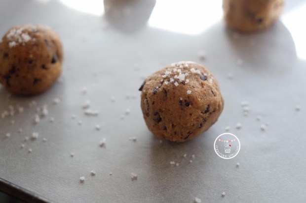 13873155_895993740546494_2996270339589433075_n1