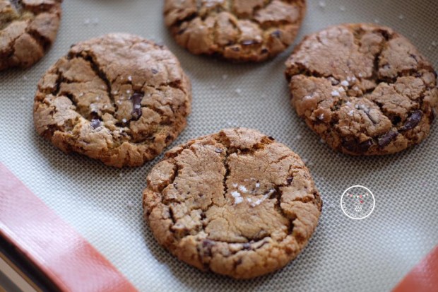 13892224_895993793879822_1240977147308032361_n1