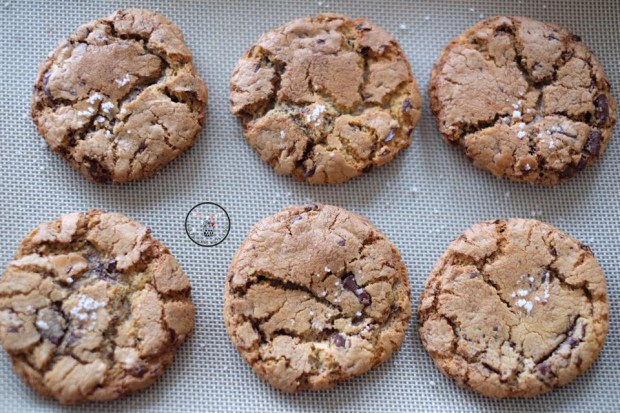 13901591_895993810546487_3505350499996016882_n1